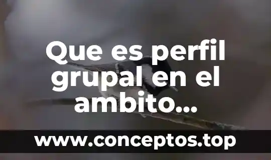 Que es perfil grupal en el ambito educativo