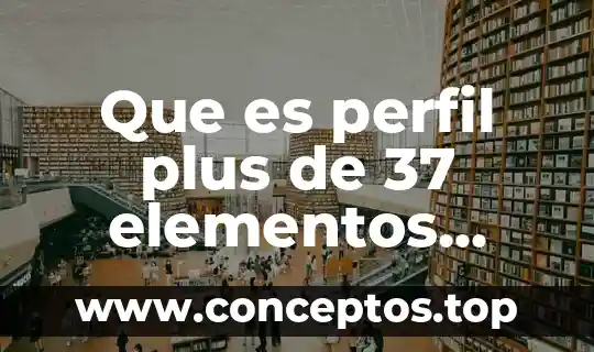 Que es visual c plus 5 Que es perfil plus de 37 elementos swisslab