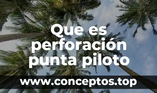 Que es perforación punta piloto