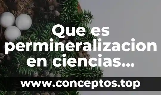Que es permineralizacion en ciencias naturales