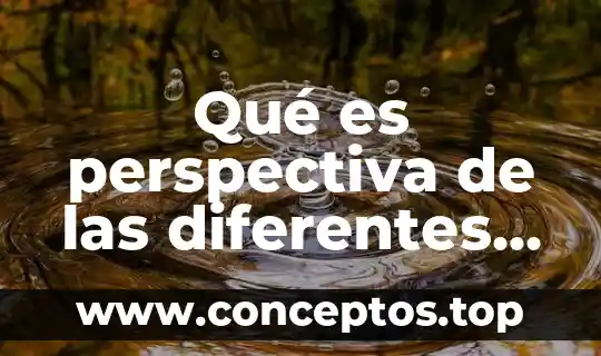 Qué es perspectiva de las diferentes ciencias