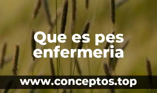 Que es pes enfermeria