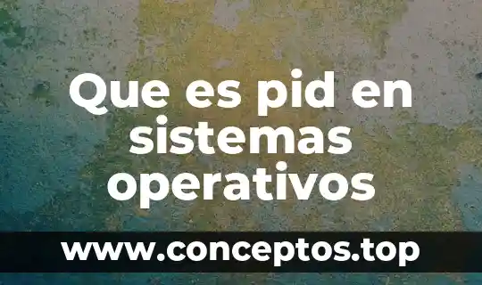 Que es pid en sistemas operativos