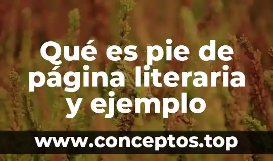 Que es etopeya figura literaria y ejemplos 4 Qué es pie de página literaria y ejemplo