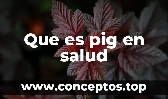 Que es pig en salud