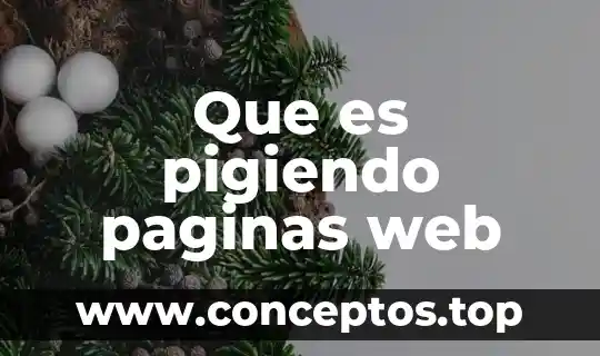 Que es pigiendo paginas web