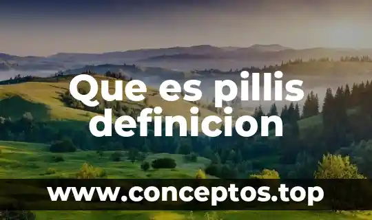 Que es pillis definicion