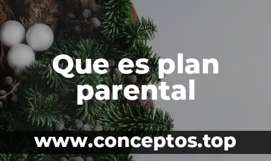 Que es plan parental