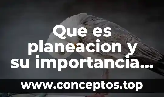Que es planeacion y su importancia reyes ponce