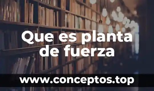 Que es planta de fuerza