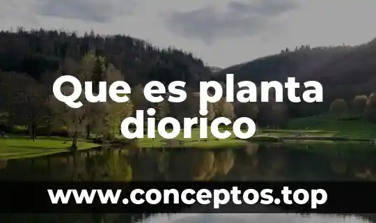 Que es planta diorico