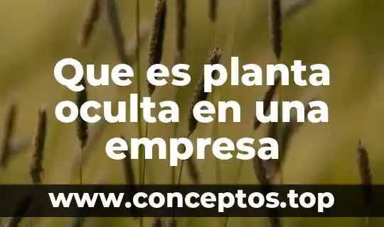 Que es planta oculta en una empresa