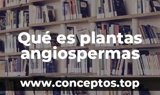Para que es la oxitetraciclina en las plantas 4 Qu茅 es plantas angiospermas