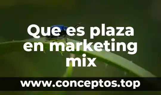 Que es plaza en marketing mix