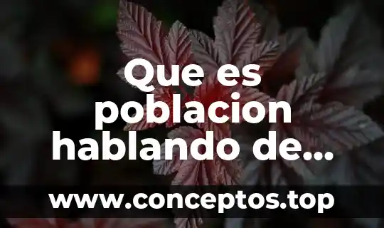 Que es poblacion hablando de estadistica