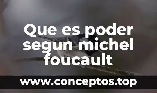 Que es el examen segun el autor 4 Que es poder segun michel foucault