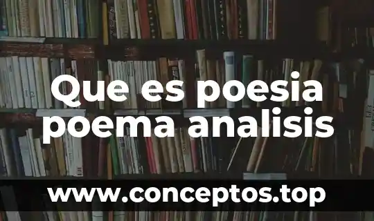 Que es poesia poema analisis
