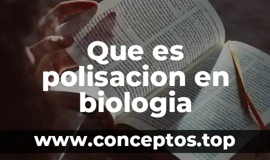 Que es un compuesto quimico en la biologia 7 Que es polisacion en biologia