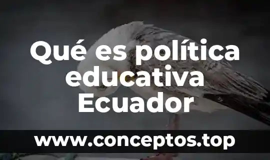 Qué es el positivismo filosofía educativa 8 Qué es política educativa Ecuador