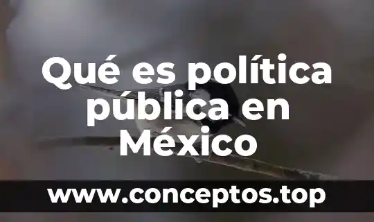 Que es el abandono infantil en mexico 5 Qué es política pública en México
