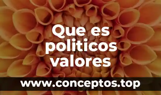 Que es politicos publicos 3 Que es politicos valores
