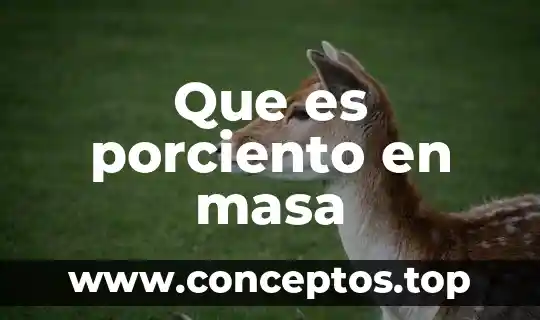 Que es porciento en masa