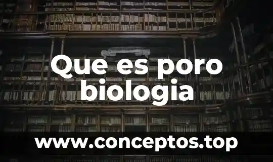 Que es poro biologia