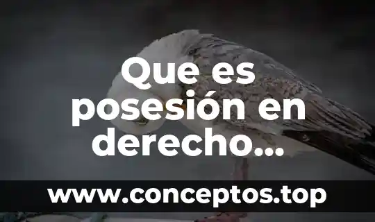 Que es posesión en derecho romano