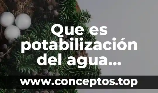 Que es potabilización del agua porque es importante