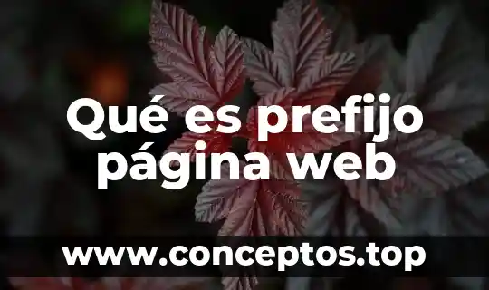 Que es lo que hace que una pagina sea dinamica 5 Qué es prefijo página web