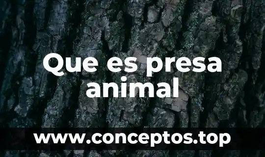 Que es una celule animal 4 Que es presa animal