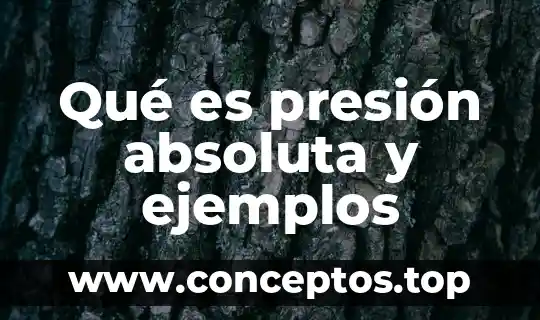 Resumen de que es la presion atmosferica 4 Qué es presión absoluta y ejemplos