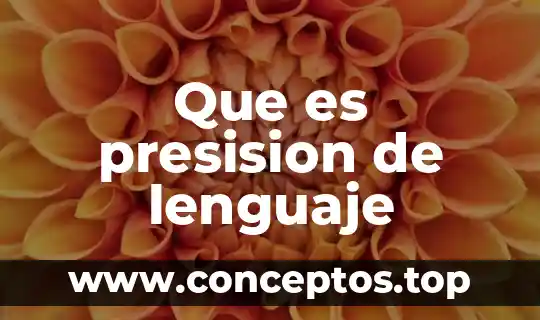 Que es el lenguaje lirismo 5 Que es presision de lenguaje