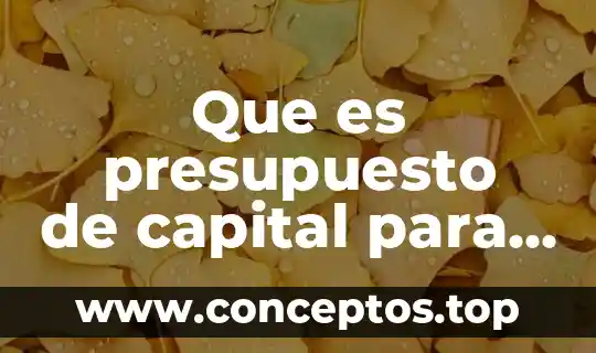 Que es presupuesto de capital para diferentes autores