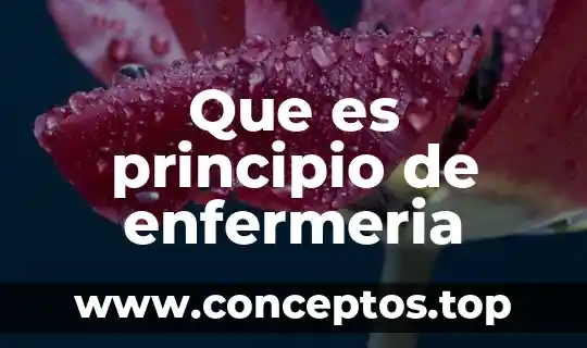 Que es principio de enfermeria