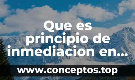 Que es principio de inmediacion en mexico