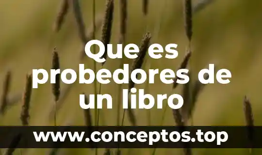 Que es probedores de un libro