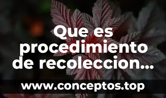 Que es procedimiento de recoleccion en una investigacion