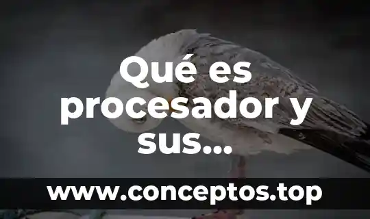 Qué es procesador y sus características de diferentes componentes