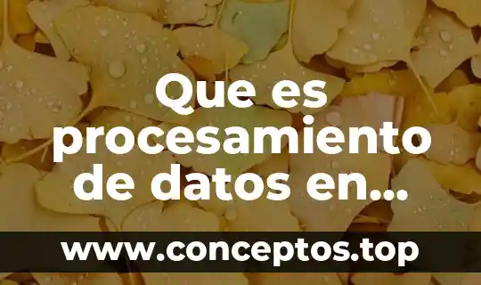 Que es procesamiento de datos en excel