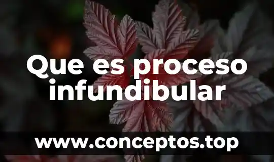 Que es proceso infundibular