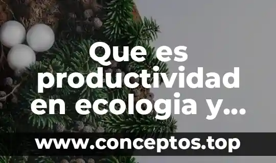 Que es productividad en ecologia y tipos