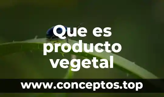 Que es producto vegetal