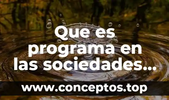 Que es programa en las sociedades mercantiles