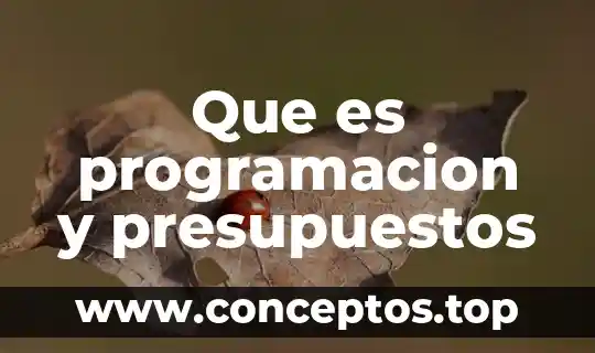 Que es programacion y presupuestos