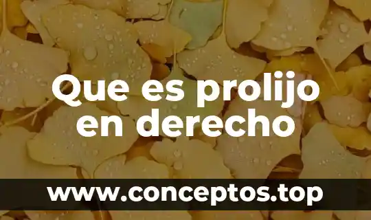 Que es el decalogo en el derecho hebreo 7 Que es prolijo en derecho