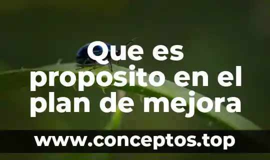 Que es mejora motivar 7 Que es proposito en el plan de mejora