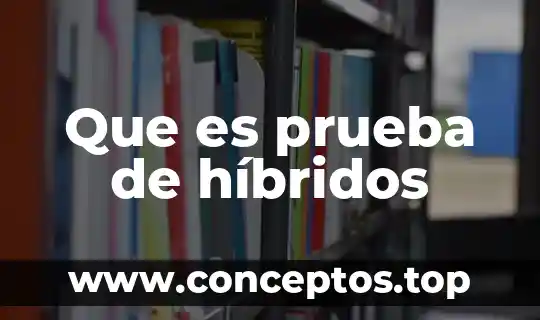 Que es prueba de híbridos