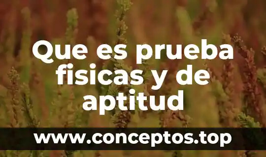 Que es prueba fisicas y de aptitud
