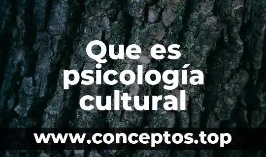Que es psicología cultural